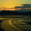 순천만 습지 이미지