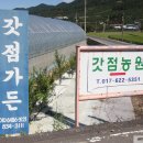 갓점농원 Daum카페