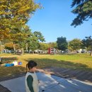 달콤한 캠핑장 | 양산 황산공원 캠핑장 첫 당첨! 오토캠핑데크 29번에서의 11월 가을 캠핑 후기