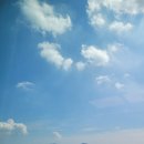 백년축산 - 남구 회재로1186번길 45 | 백년축산