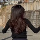 4314 | 문정역 미용실 "에이바헤어 문정역점" 내돈내산 레이어컷 후기