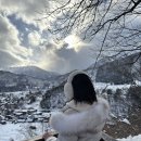 단발 복구 매직 한 달 뒤 후기 장점 성수 미용실 비주얼살롱