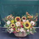 포천예삐꽃방 이미지