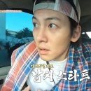 가브리엘농장 이미지