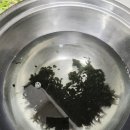 양지로2L 이미지