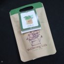 열린안경옥계점 이미지