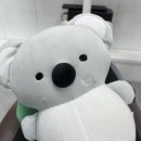 디오션치과의원 이미지