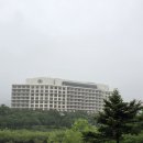 힐튼호텔 경주 | [경주 숙소] 힐튼경주호텔 트윈룸 솔직 후기!
