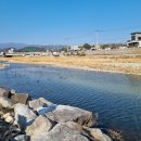 명주초등학교 | 강릉에서 3월 첫째주 :: 남대천 1938slow 옴니버스 디캣웨이브 치하오