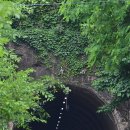 동성자원 | 담담한 삶… ‘초부의 시’ 닮은 길을 밟다