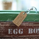 에그박스 이미지