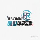 용인대 부부 해람 태권도장 | 용인대 부부 해람태권도장 로고디자인