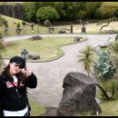 설록차전시관 이미지