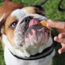 오메가플러스 이미지