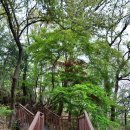 방아다리근린공원 이미지