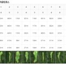 홀인원스크린골프죤 이미지