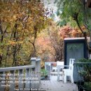 숲속개울가 이미지