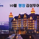 디엠씨투어