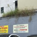 아띠랑스 | 대구 수성구 빵집 지산동 브런치카페 아띠랑스 후기