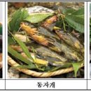 백세전복식품