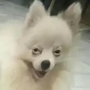 휴앤탐(휴N탐) | 내게 1월5일은 없다고……DAY2 [Reverie Dot]