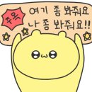 Wellness K(웰니스 케이) 이미지