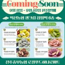 진주에 초청받은 &#39;익산 생크림 찹쌀떡&#39;을 하나로마트에서 떡개팅 성공!