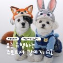 (주)스튜디오게일 | 강아지 사진으로 주토피아 캐릭터 만들기｜ChatGPT로 요즘 유행하는 반려동물 AI 변신 | 주토피아 ai...