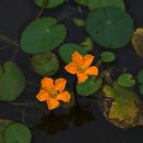 제주돌마을공원 이미지