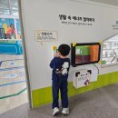 망원어린이집 옥상놀이터 | 판교 환경 생태학습원 체험관 예약없이 주말 아이랑 갈만한 곳 주차가능