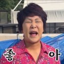 서울양재동도테라본사 황근영학교가자 교육후기