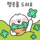 디소이포헤