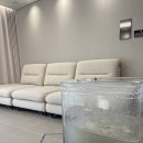 기름이 맑은세탁 | 포항 가구 케어 매트리스 소파 청소 할인 혜택과 세탁 후기