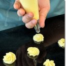 미래제과 | 양재제과제빵학원 카페 창업을 위한 베이킹클래스 수업 후기(ft.수강료)