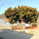 반월호수길 이미지