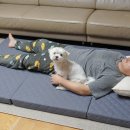 늘푸른세탁 | 블루몽 국내생산 탄탄한 3단접이식매트리스 솔직후기