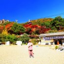 대둔산힐링센터 이미지