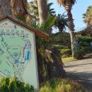 제주조이랜드 이미지