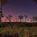 삼락오토캠핑장 이미지