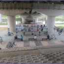 [8월 16일(토요일)]서울둘레길 6코스 안양천코스(석수역-가양역) 트래킹 이미지