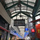 스테이시호일 이미지