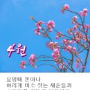사성 Daum카페