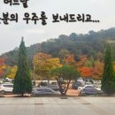 프리드라이프창원