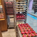 [공지] 구 대구 사람의 1박 2일 대구 맛집 먹방 여행 코스: 1일차