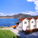 은빛아라 이미지