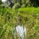 대구침산초등학교 이미지