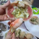 기장싱싱대게 이미지