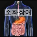 제이엘피트니스 다대점 이미지