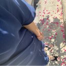 라라코지 이미지