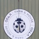 미대농장 이미지